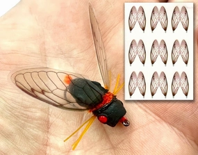 Surface Seducer Cicada Wings- Orange