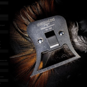 Swiss CDC Multiclamp