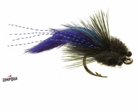Tarpon Toad