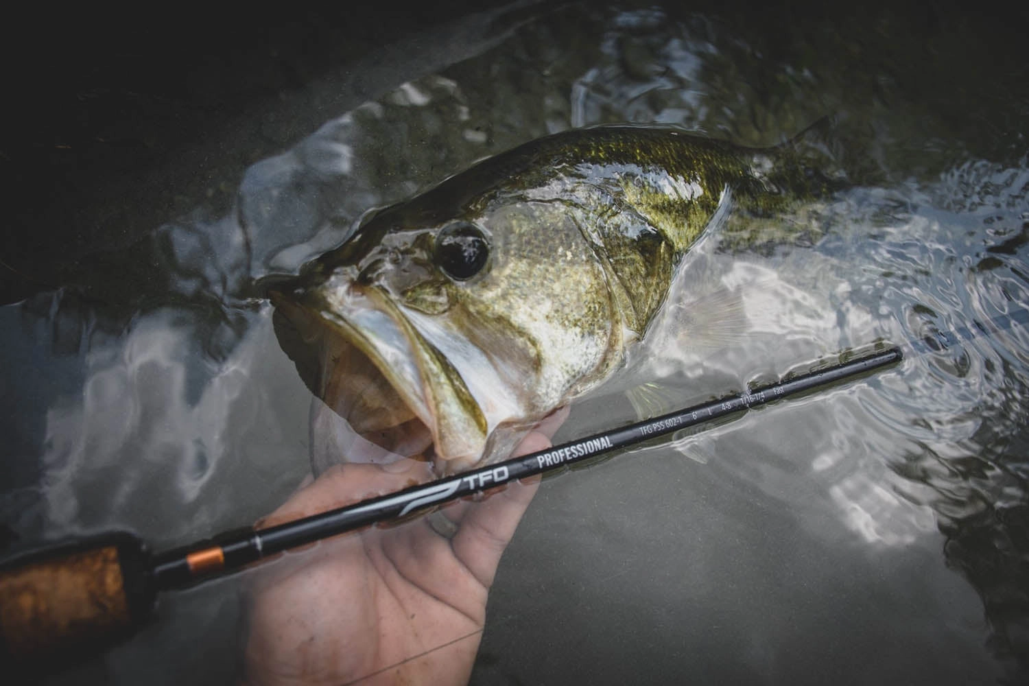 Temple Fork Outfitters Professional Baitcasting Rods