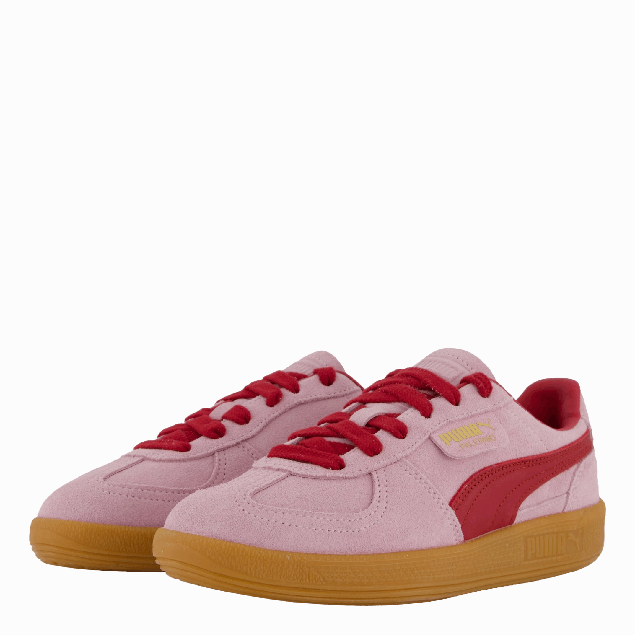 Palermo Rose Mauve-Dark Crimson Canvas Shoes