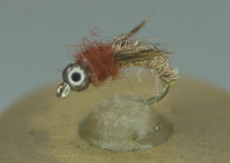Tungsten Bead Head Caddis Pupa