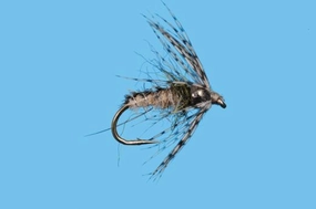 Tungsten Trapper Nymph