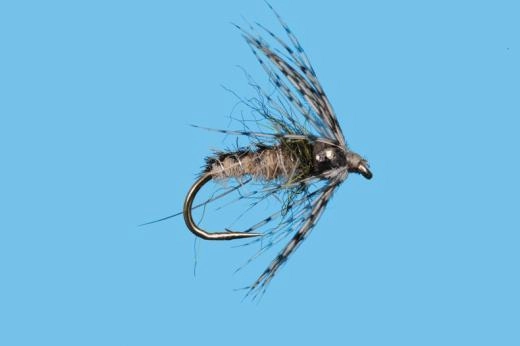 Tungsten Trapper Nymph