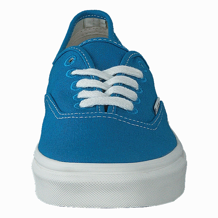 Lightweight Shoes Grippy Soles Ua Authentic (Eco Theory)Hawainsrfntrl