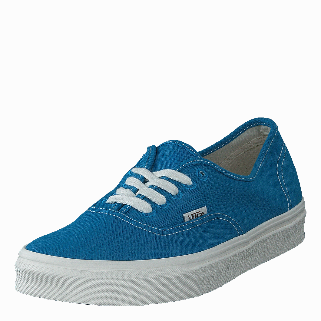 Sustainable Ua Authentic (Eco Theory)Hawainsrfntrl