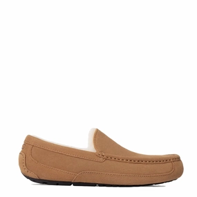 Supportive Stable Ugg Ascot Slipper Chestnut