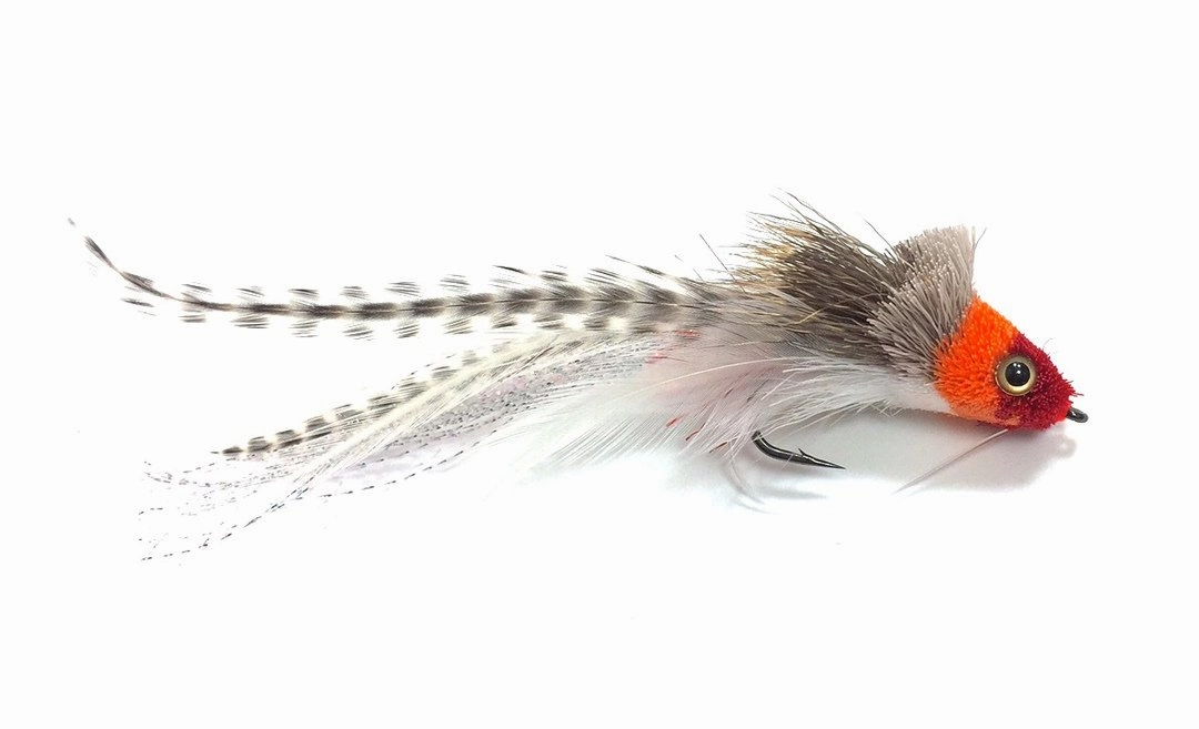 Umpqua Swimming Baitfish