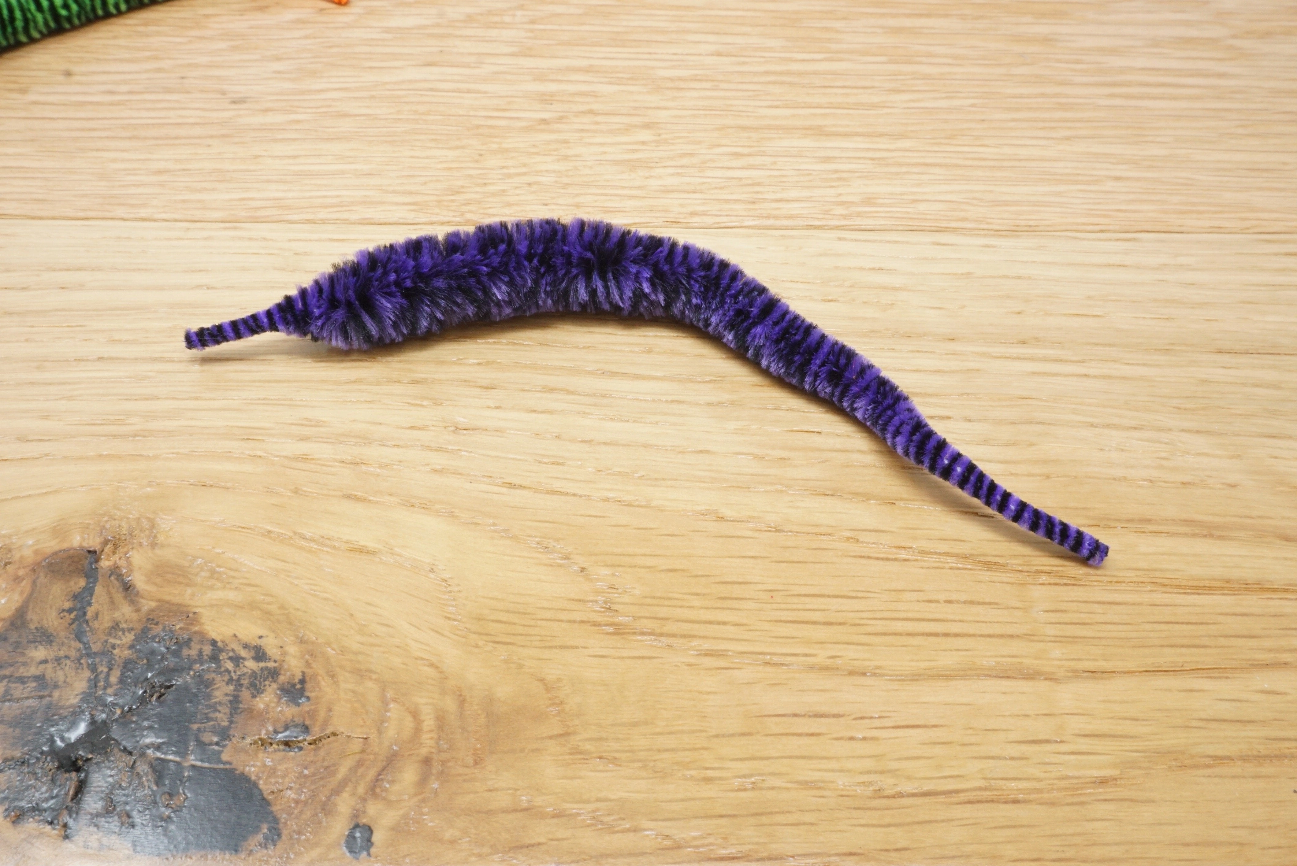 Variegated Mini Mangum Dragon Tail