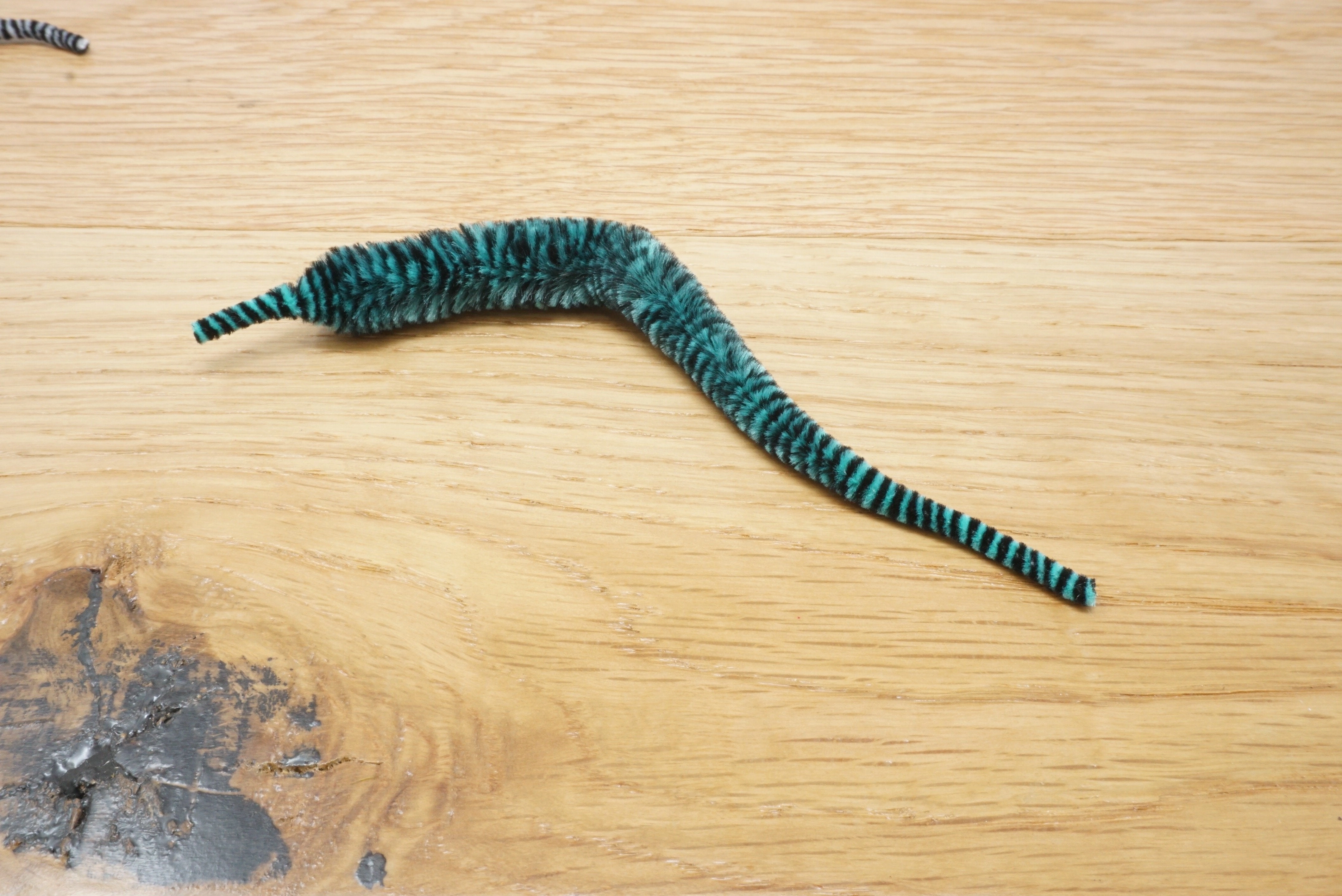 Variegated Mini Mangum Dragon Tail