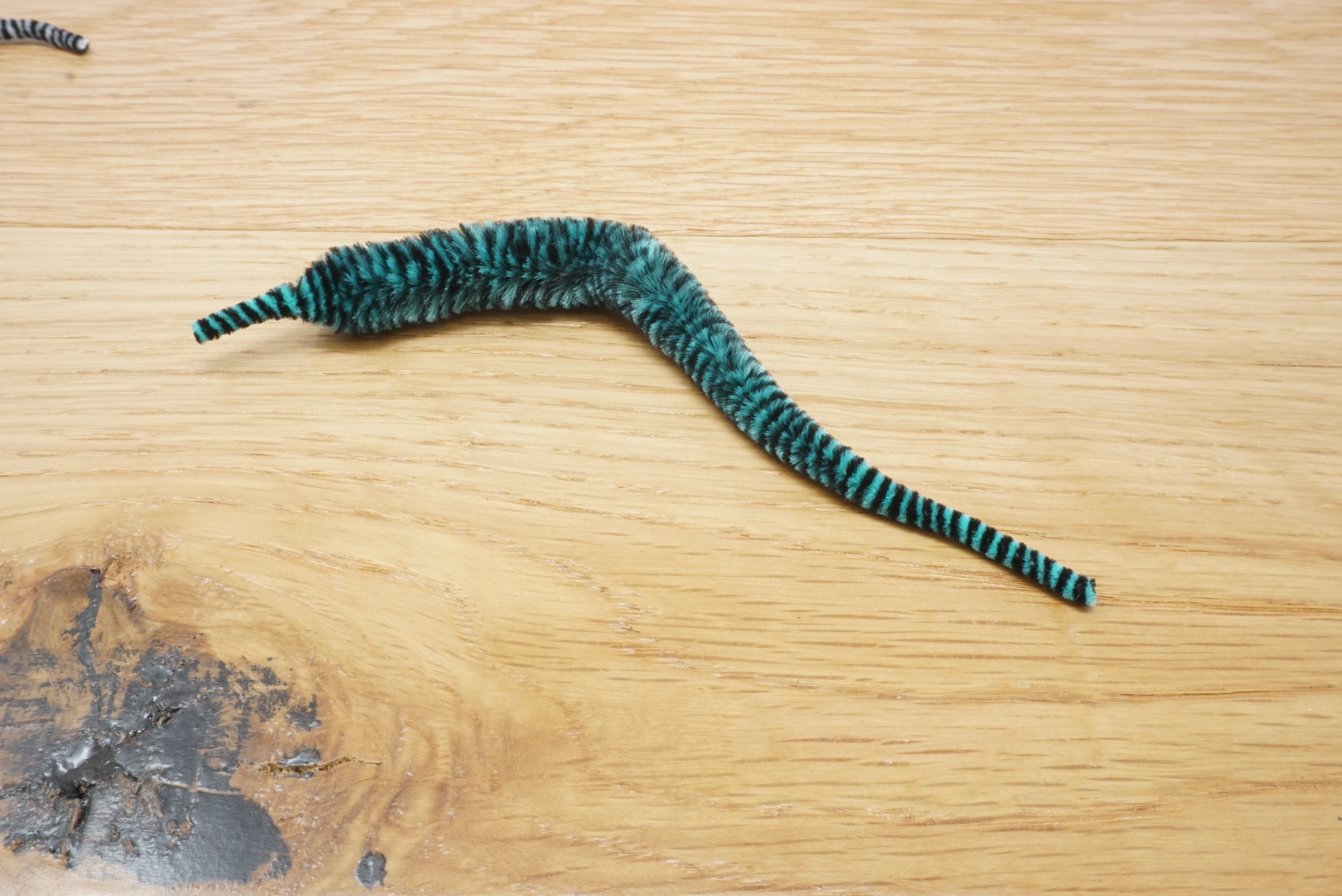 Variegated Mini Mangum Dragon Tail