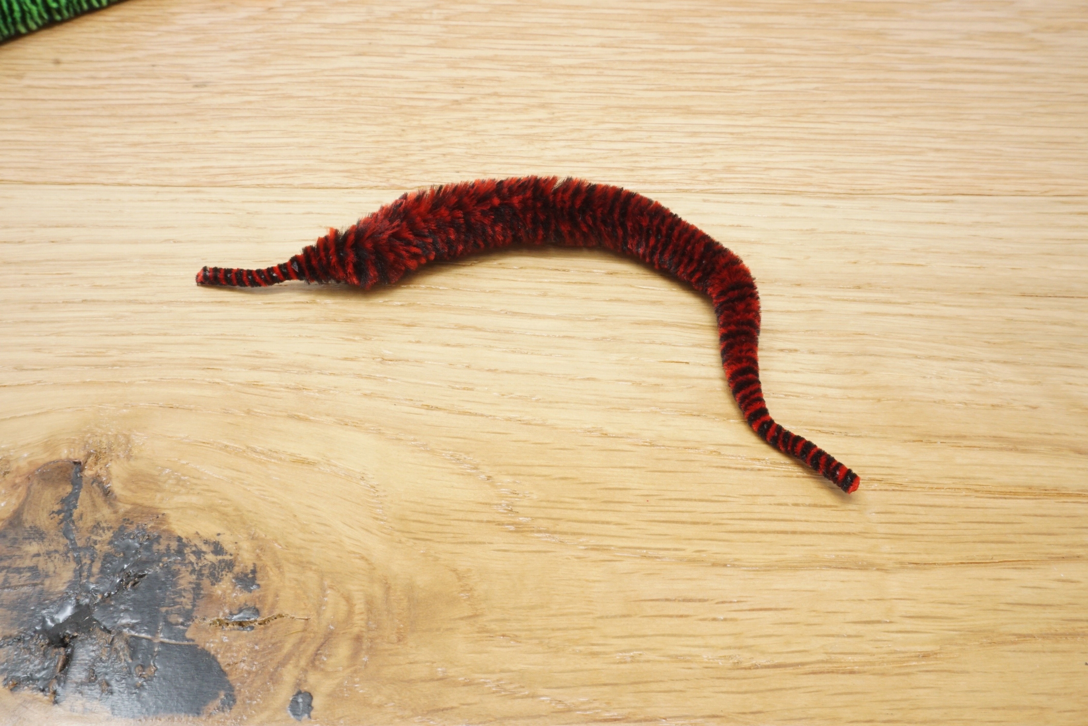 Variegated Mini Mangum Dragon Tail