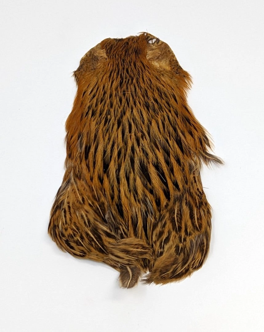 Wapsi Hen Neck