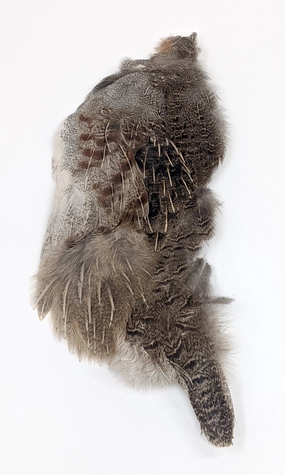 Wapsi Hungarian Partridge Half Skin Natural