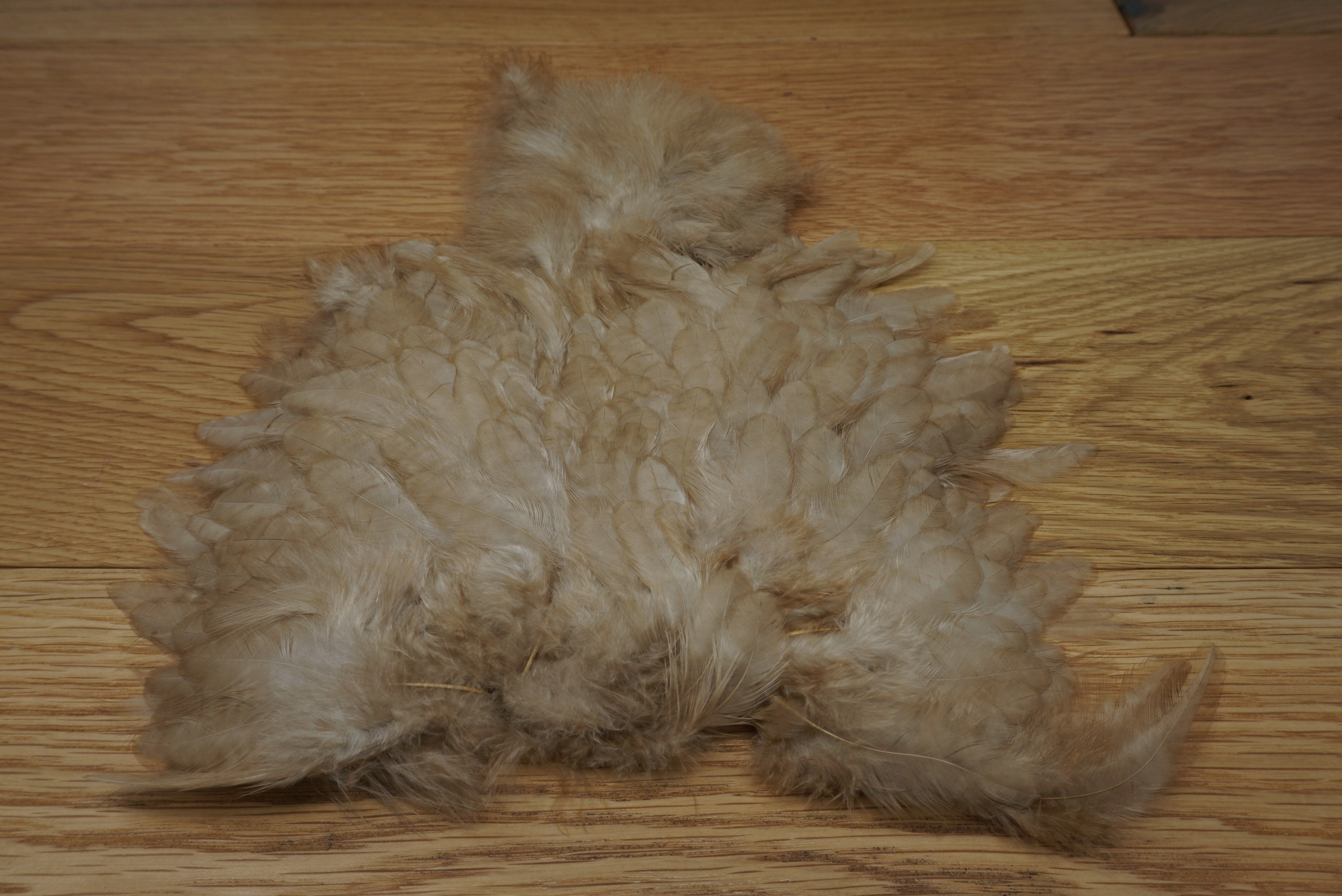 Wapsi Marabou Patch