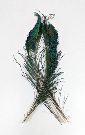 Wapsi Peacock Swords