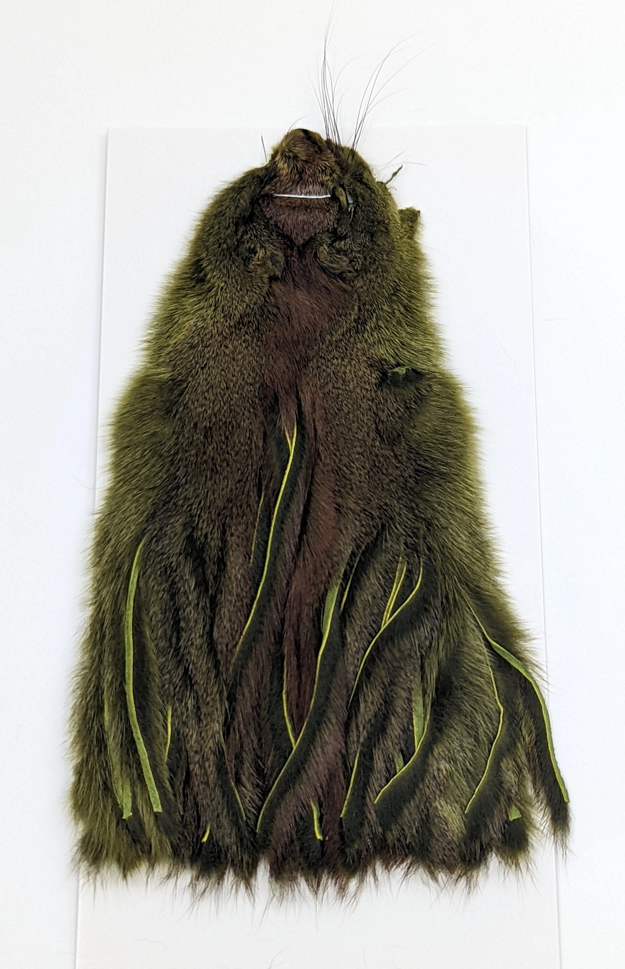 Wapsi Pine Squirrel Skin Zonked
