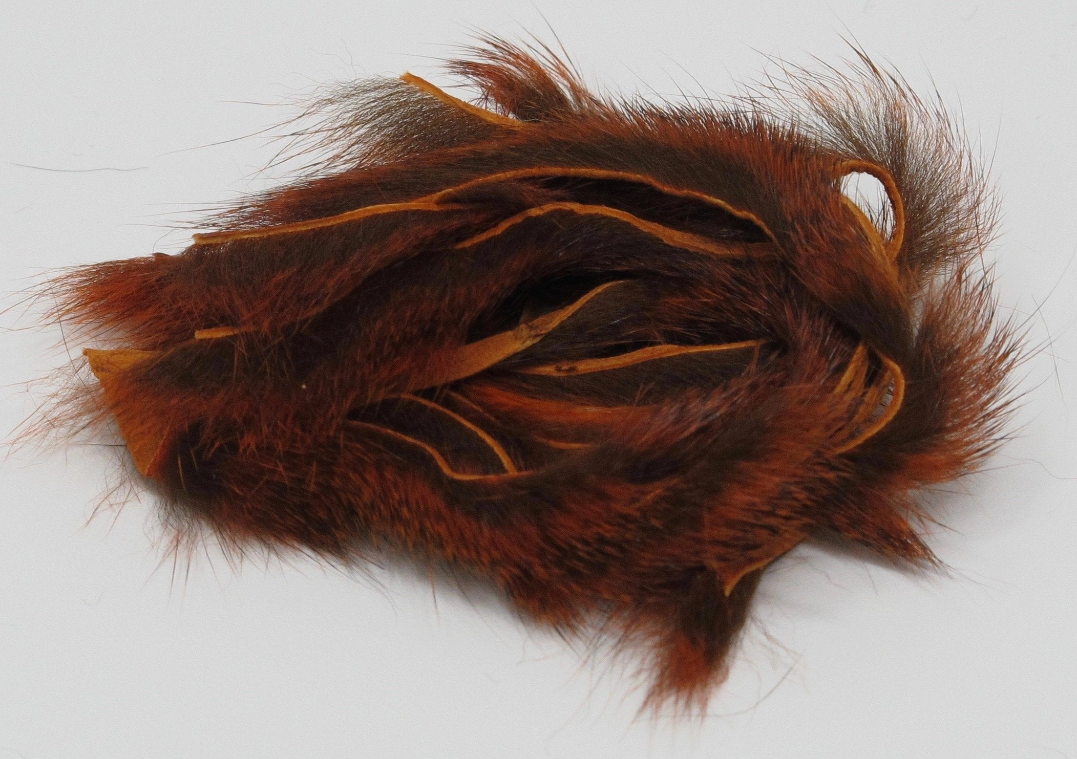 Wapsi Pine Squirrel Zonker