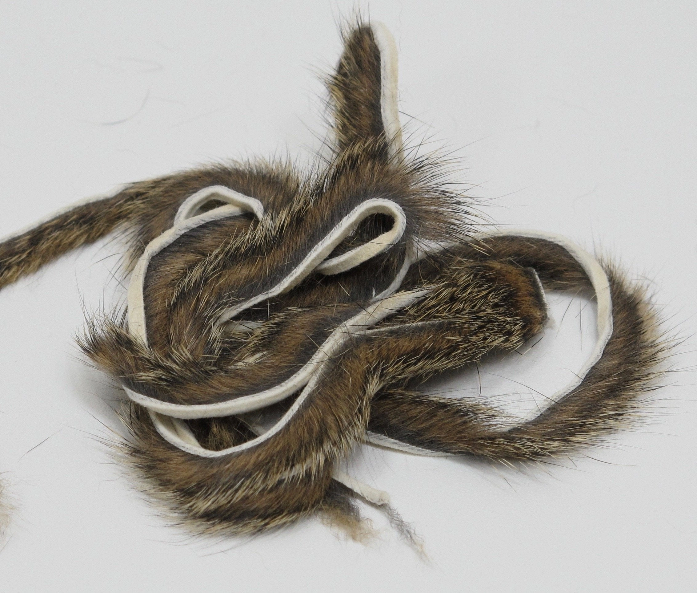 Wapsi Pine Squirrel Zonker