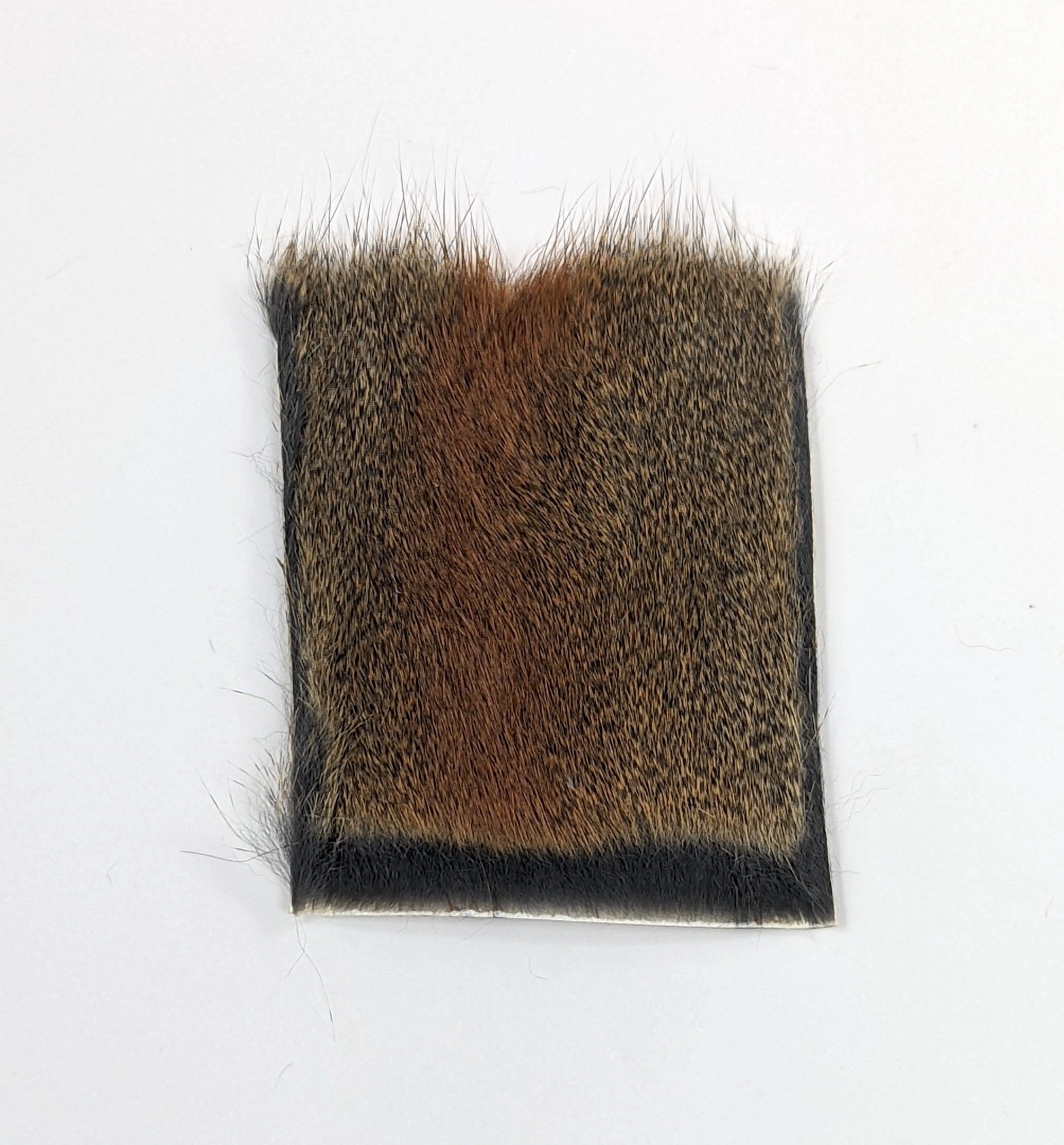 Wapsi Squirrel Body Piece