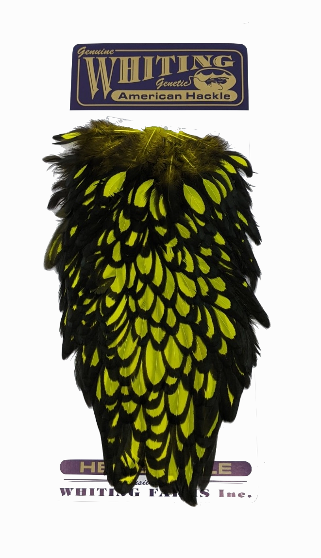 Whiting American Hen Saddle Black Laced White