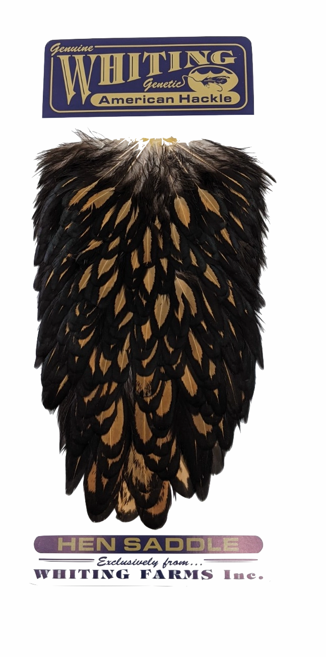Whiting American Hen Saddle Black Laced White