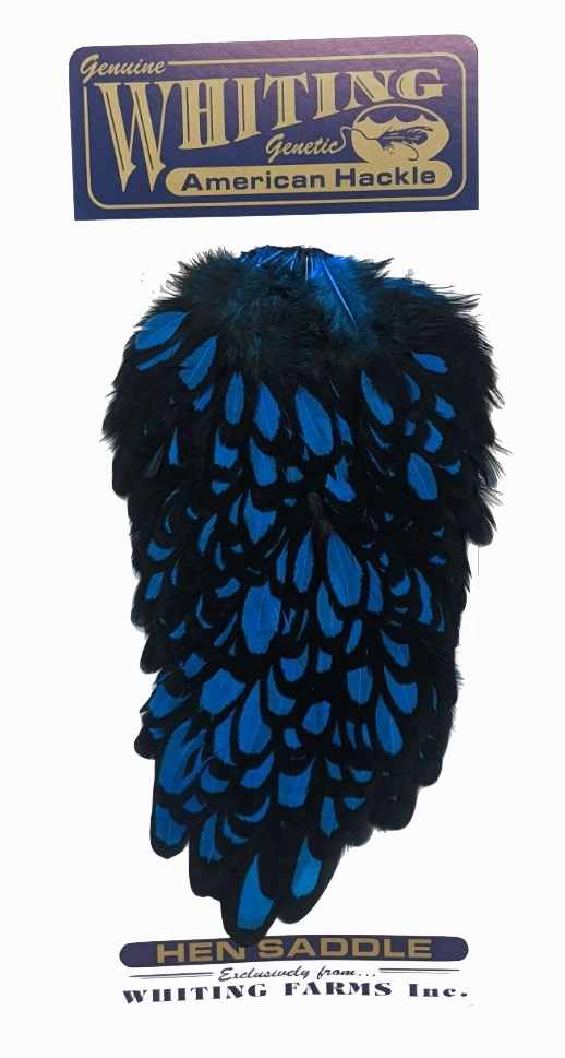 Whiting American Hen Saddle Black Laced White