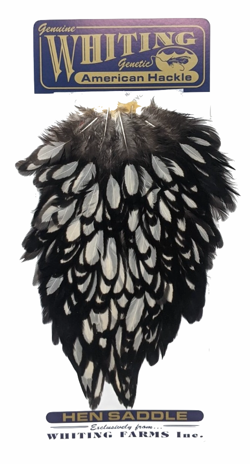 Whiting American Hen Saddle Black Laced White