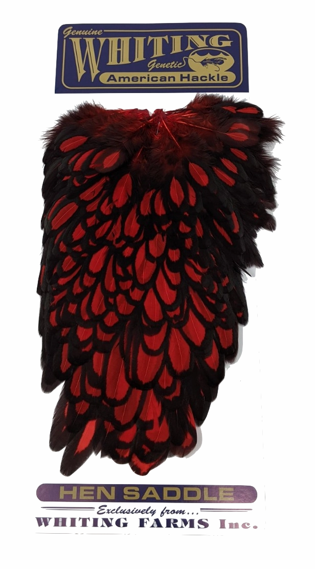 Whiting American Hen Saddle Black Laced White