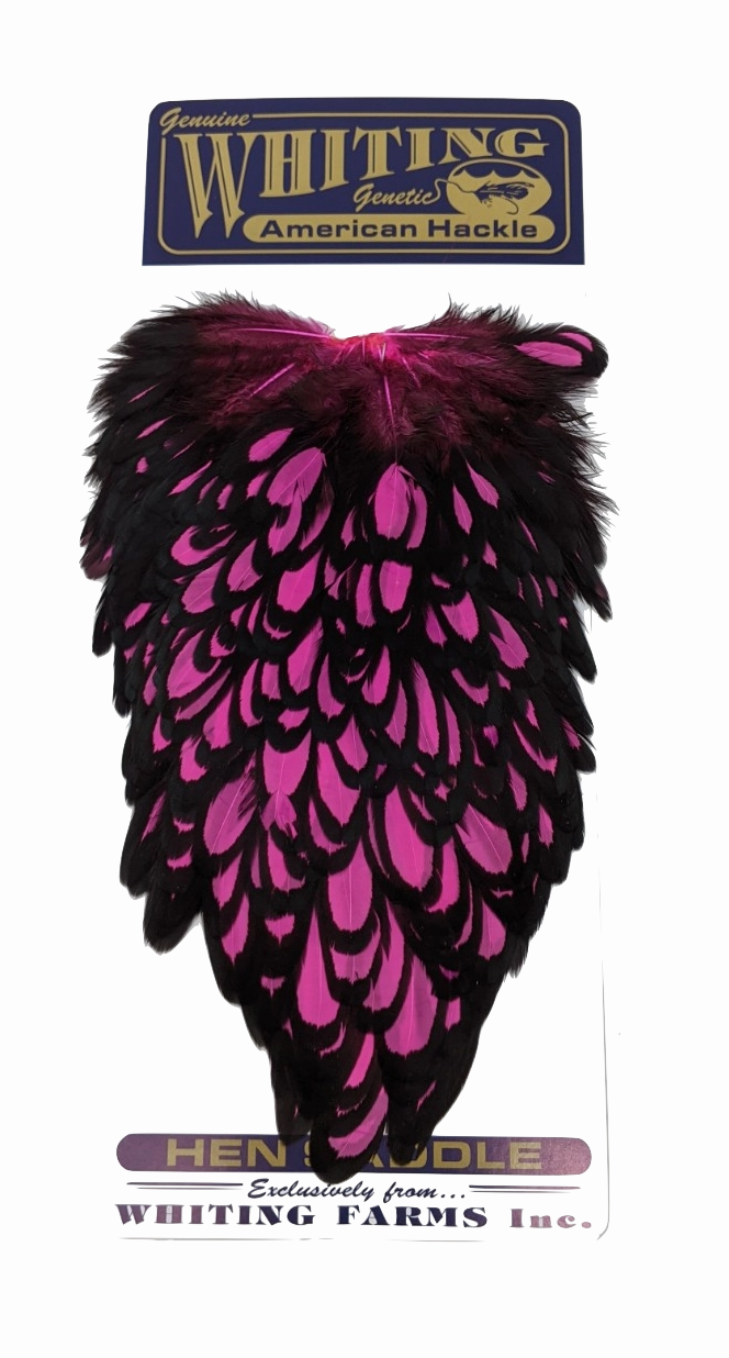 Whiting American Hen Saddle Black Laced White