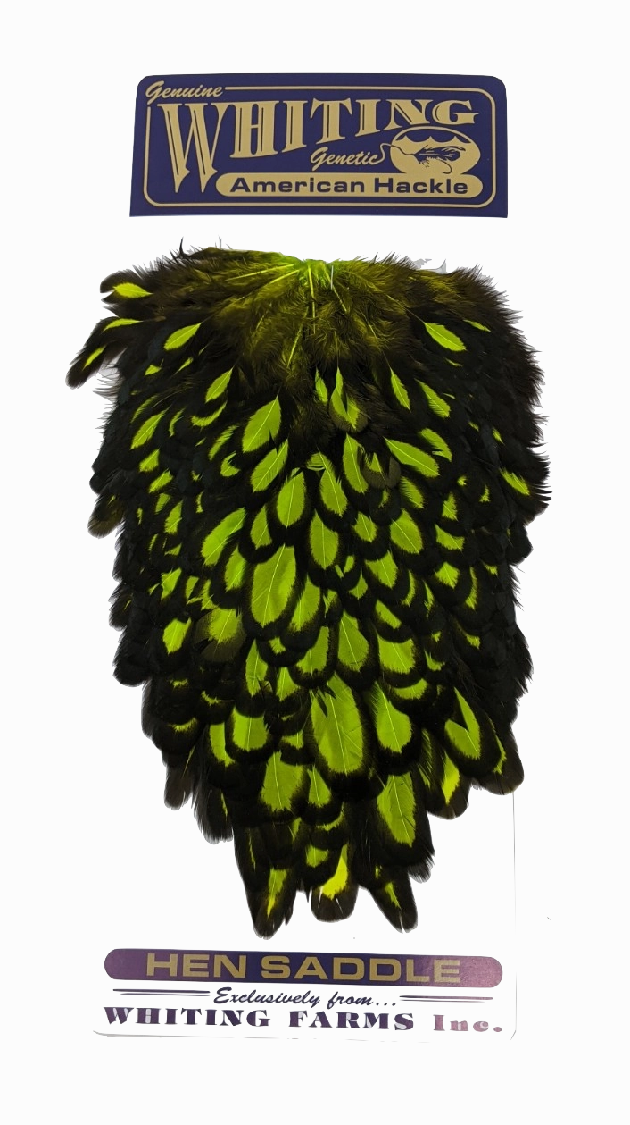 Whiting American Hen Saddle Black Laced White