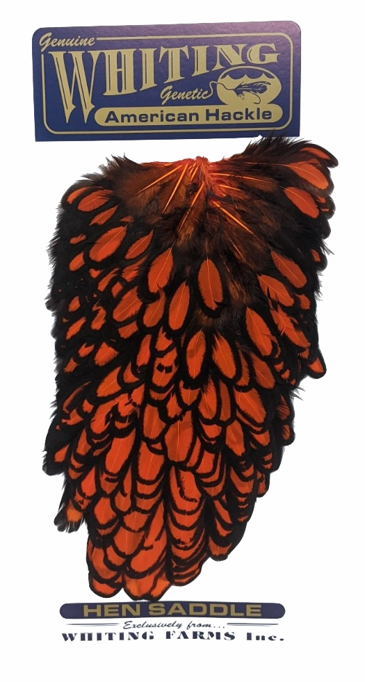 Whiting American Hen Saddle Black Laced White