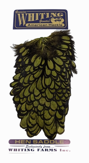 Whiting American Hen Saddle Black Laced White