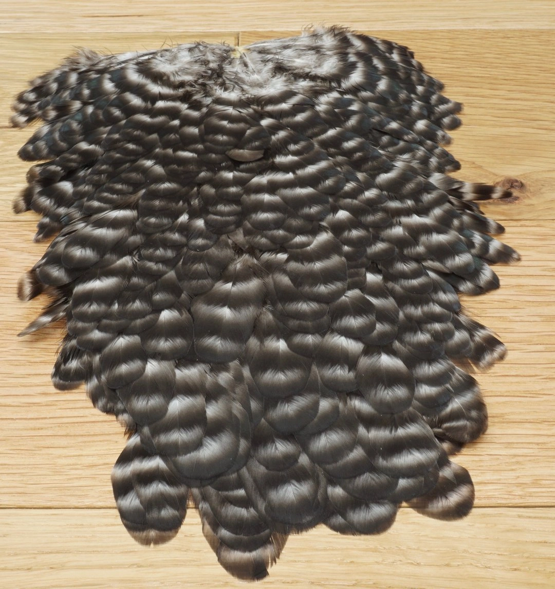 Whiting American Hen Saddles