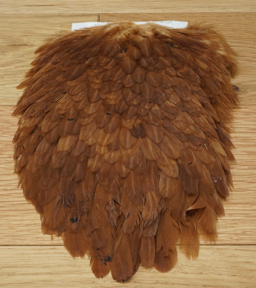Whiting American Hen Saddles