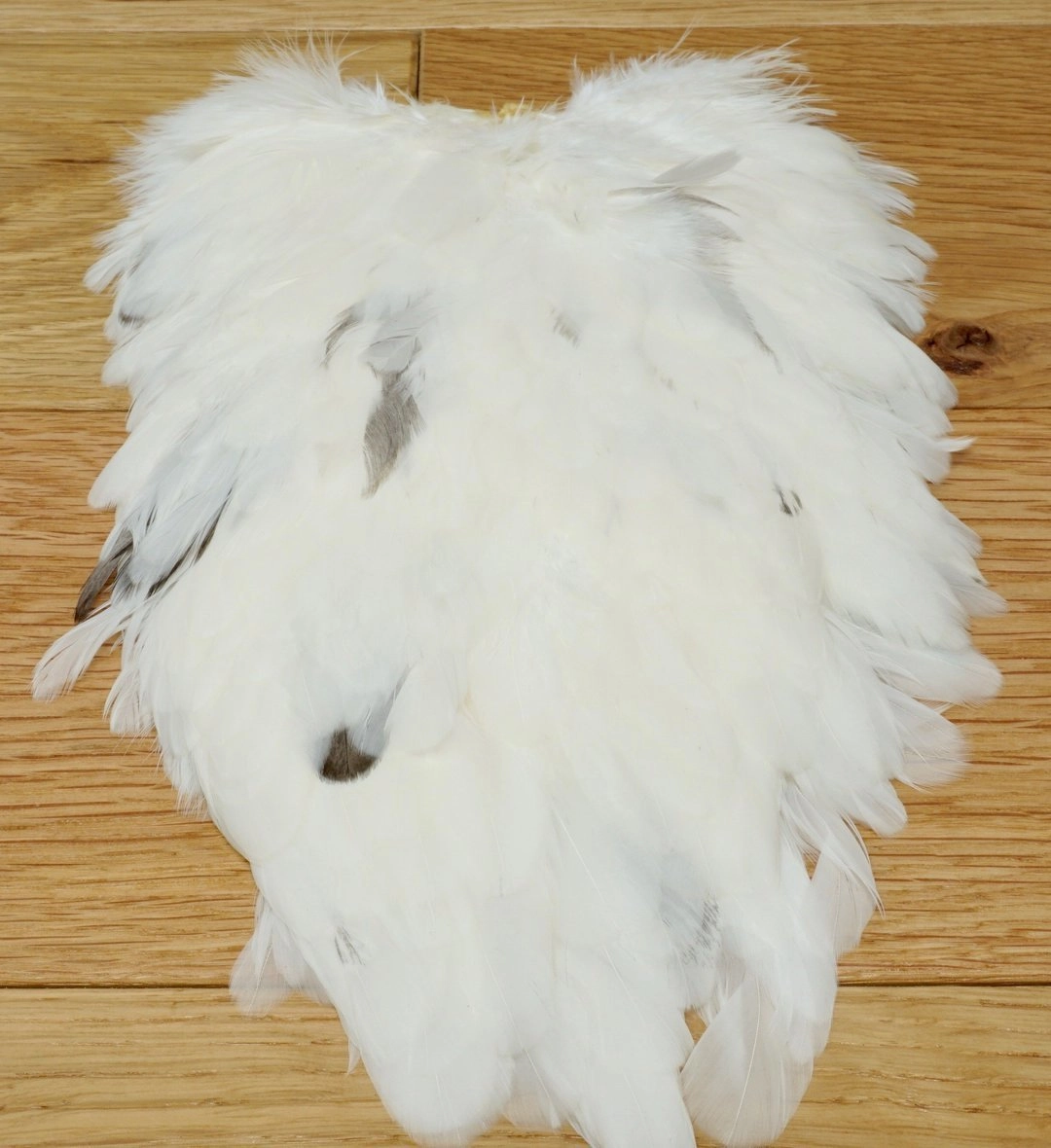 Whiting American Hen Saddles