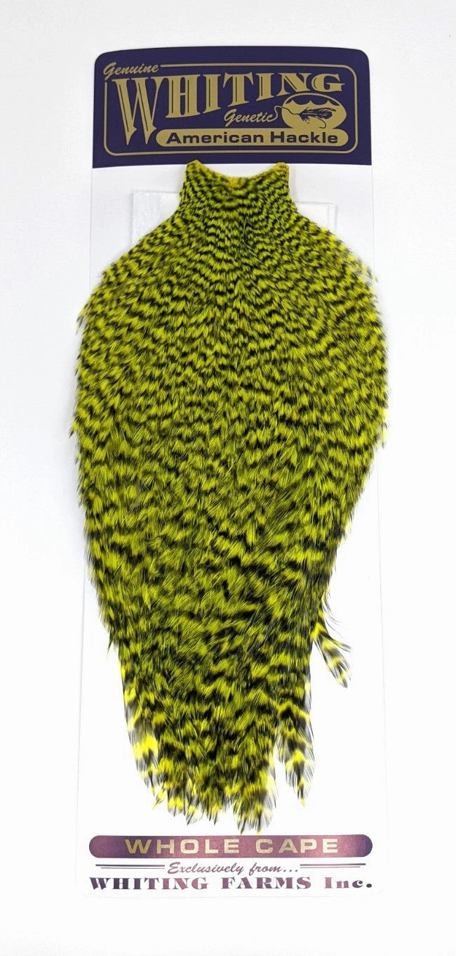 Whiting American Rooster Cape