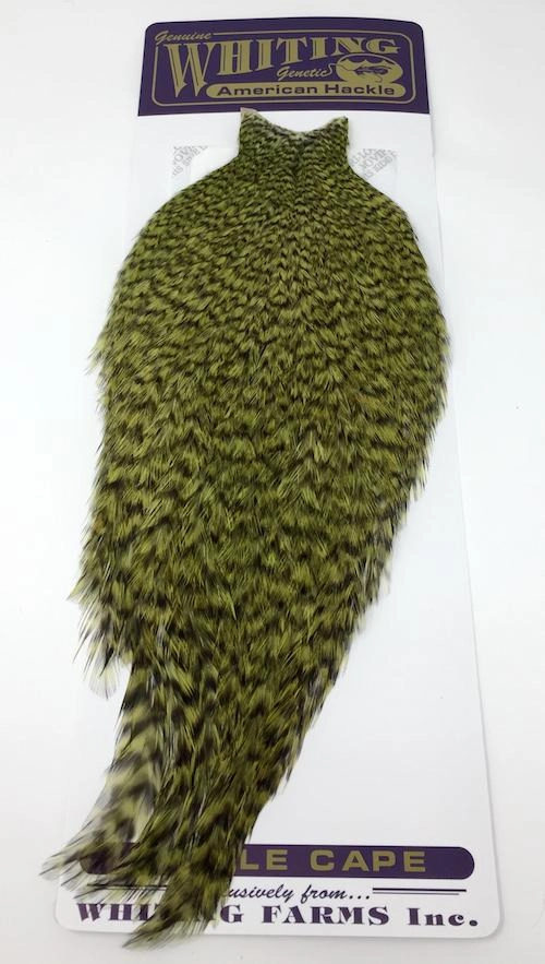Whiting American Rooster Cape