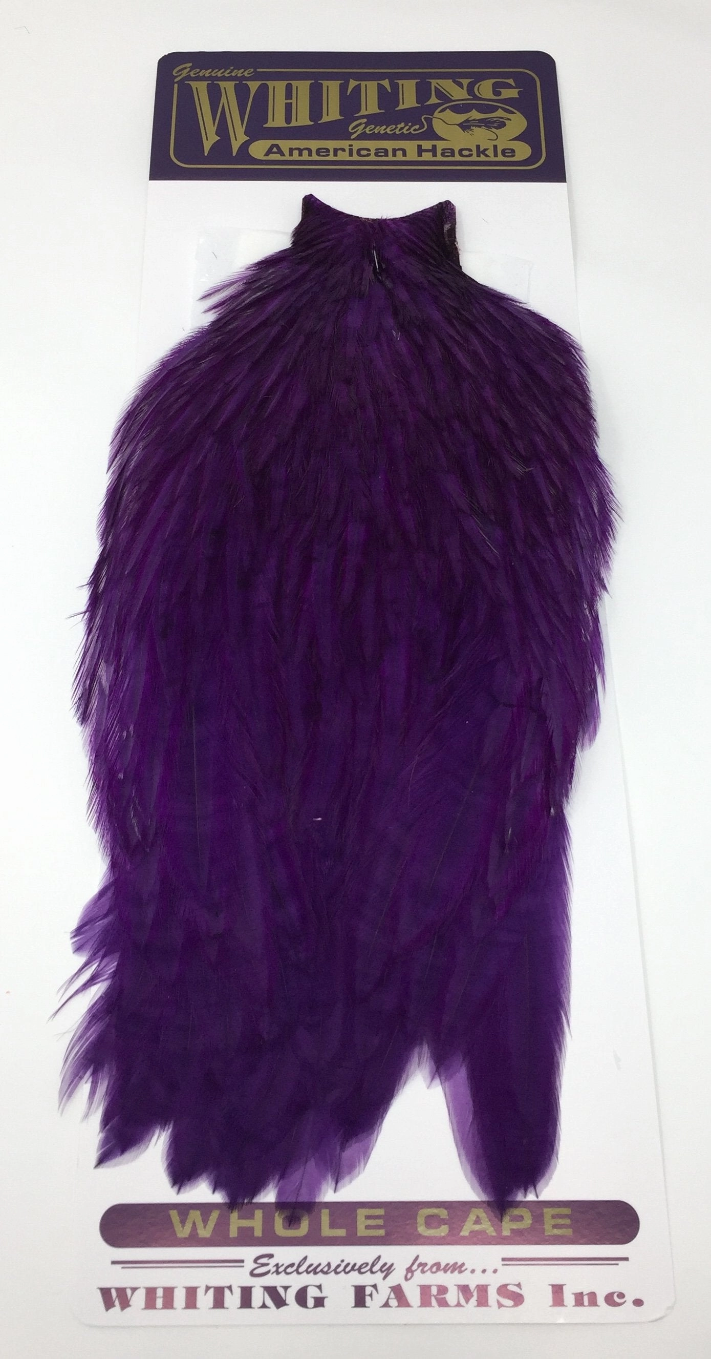 Whiting American Rooster Cape