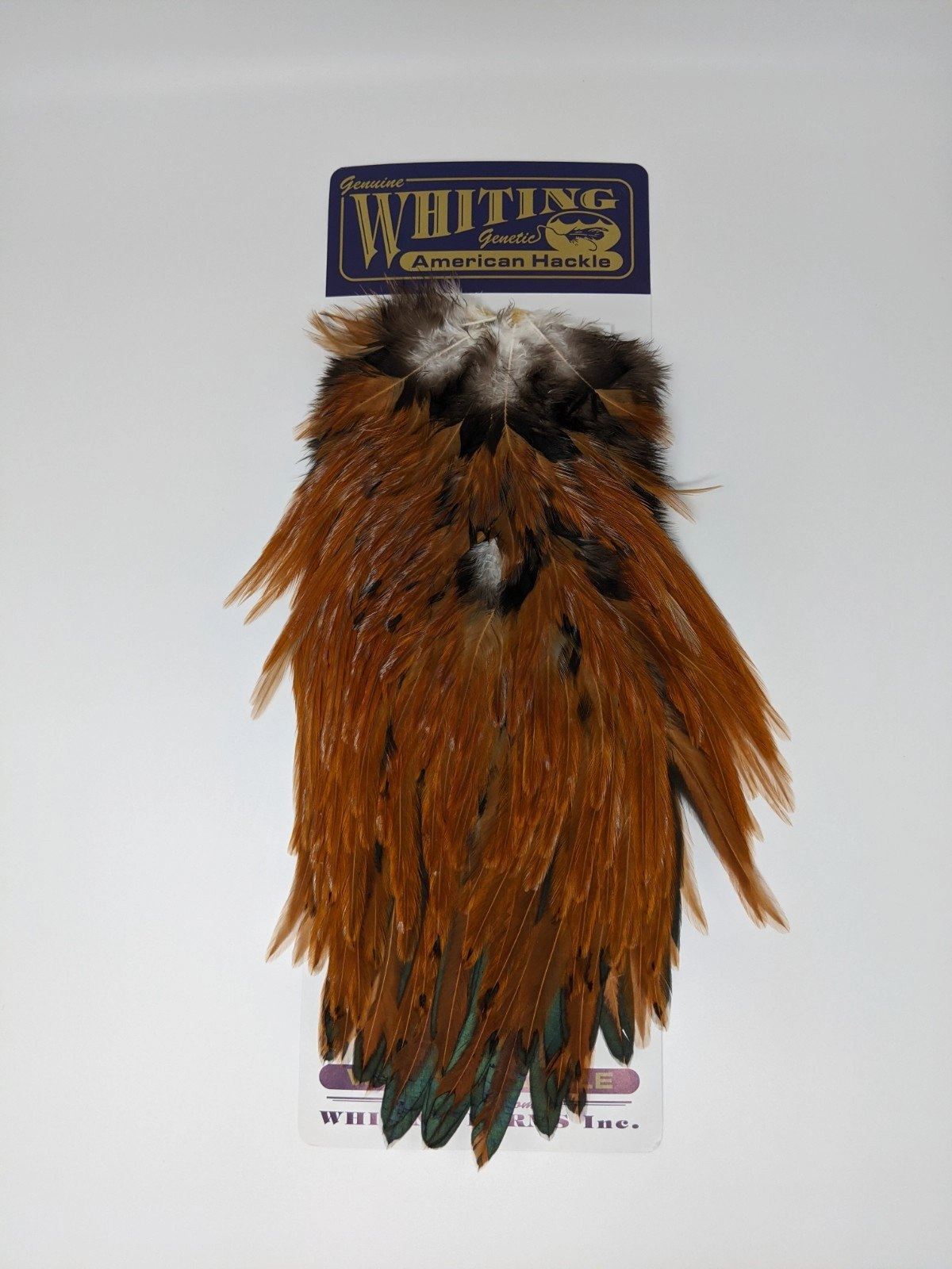Whiting American Rooster Saddles