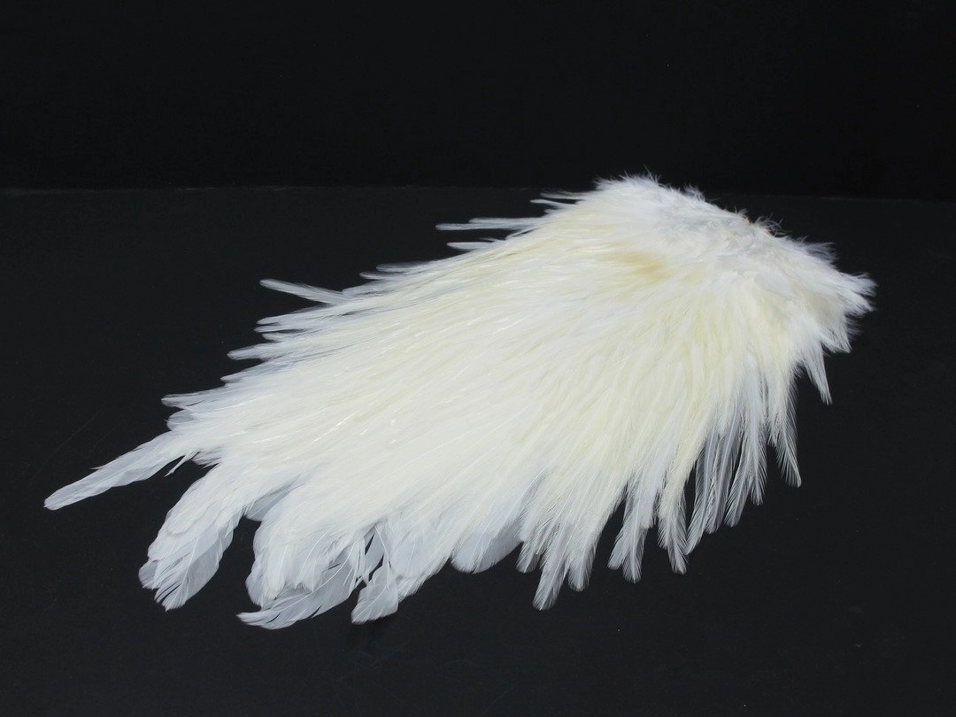 Whiting American Rooster Saddles