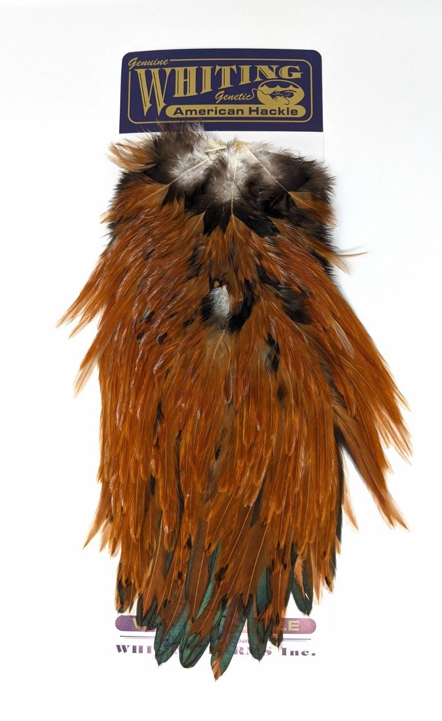 Whiting American Rooster Saddles
