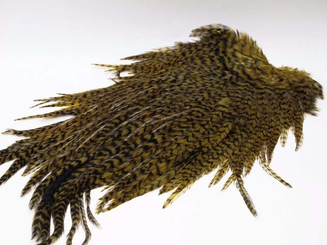 Whiting American Rooster Saddles