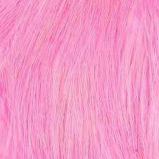Whiting Bird Fur