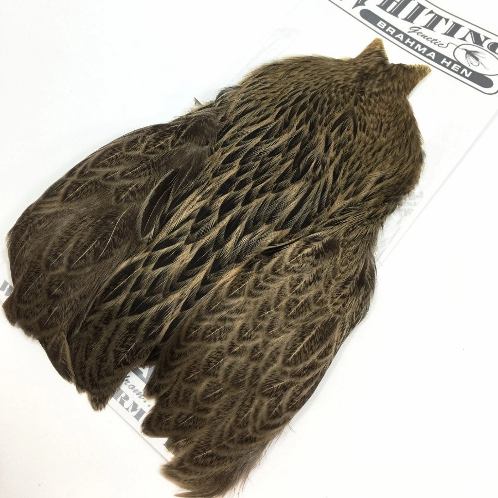 Whiting Brahma Hen Cape
