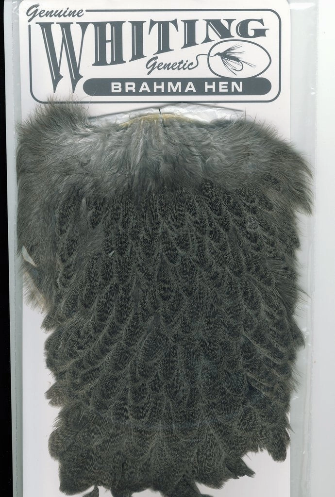 Whiting Brahma Hen Saddle