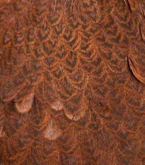Whiting Brahma Hen Saddle