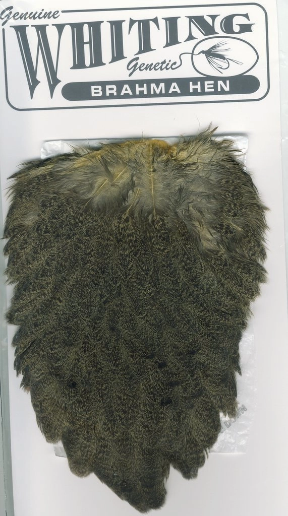 Whiting Brahma Hen Saddle