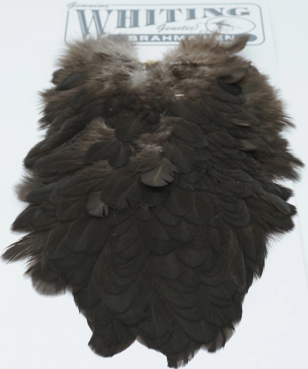 Whiting Brahma Hen Saddle