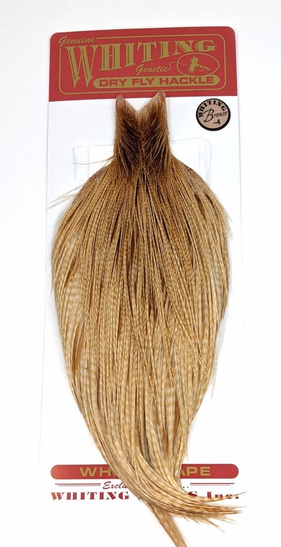 Whiting Bronze Cape